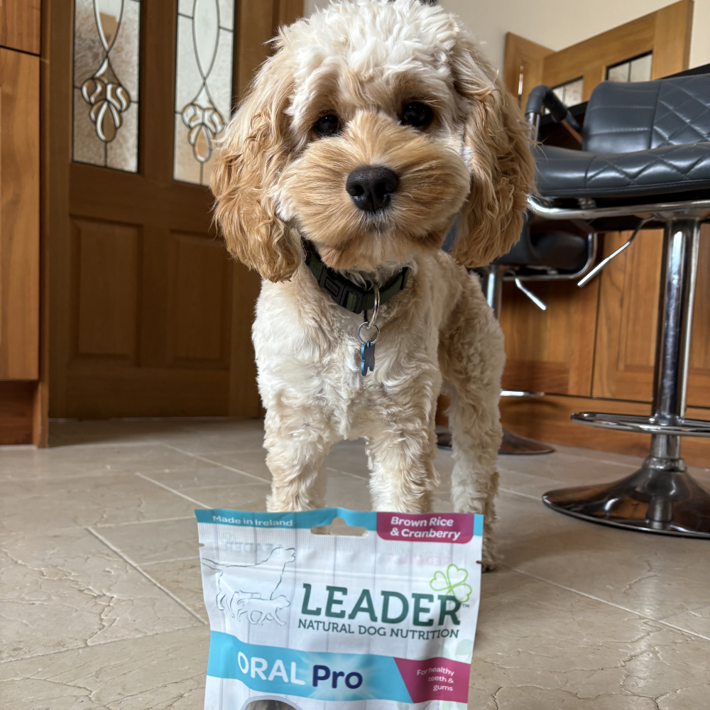 Gryzaki dentystyczne Leader Oral Pro z brązowym ryżem i żurawiną 3